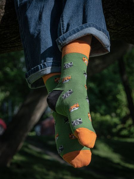 Шкарпетки VividSocks Коти 1014001 фото