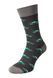 Шкарпетки VividSocks Машинки 0271 фото 1
